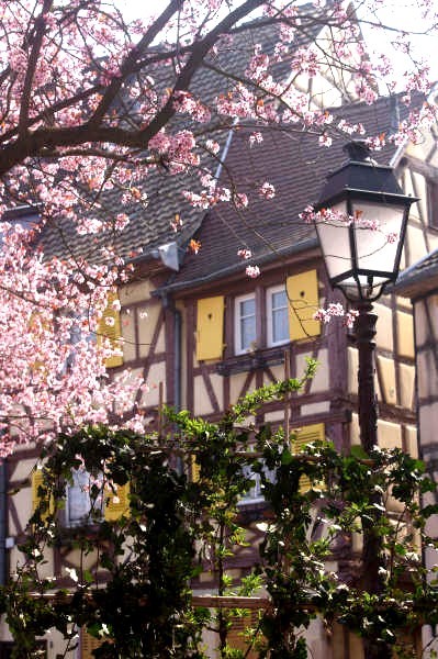 COLMAR - Le quai des pcheurs - Photo Christelle Ladrire